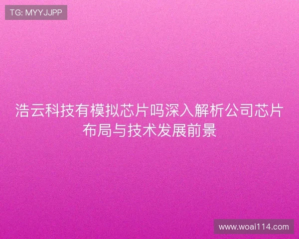 浩云科技有模拟芯片吗深入解析公司芯片布局与技术发展前景