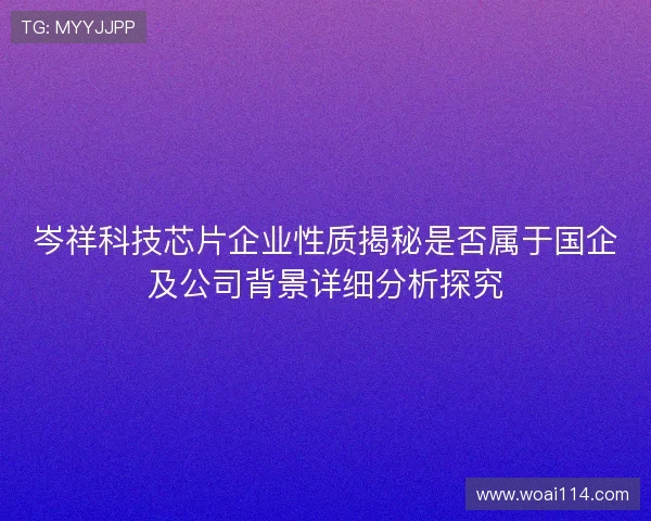 岑祥科技芯片企业性质揭秘是否属于国企及公司背景详细分析探究