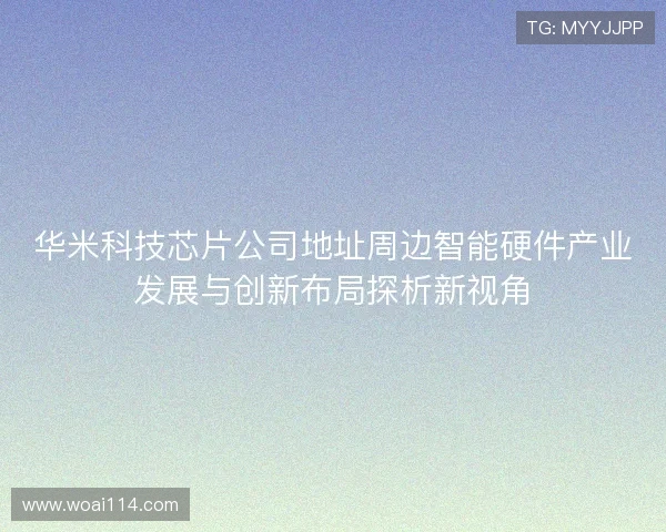 华米科技芯片公司地址周边智能硬件产业发展与创新布局探析新视角